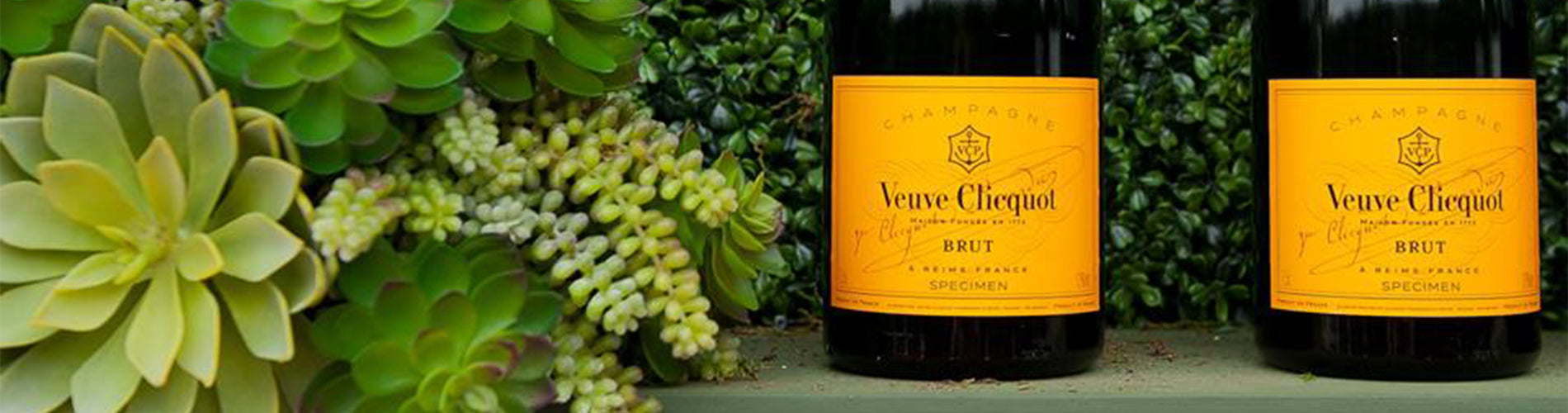 Wine Clicquot – Veuve O\'Briens