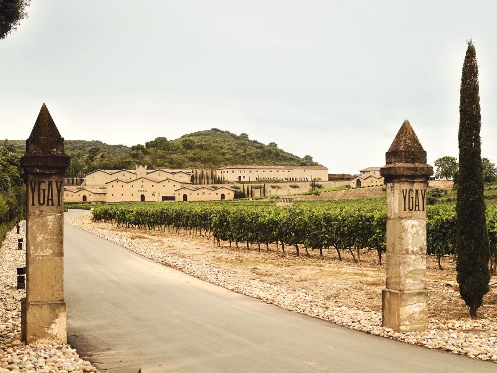 All You Need To Know About Rioja