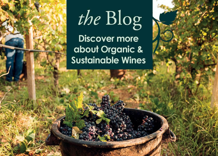 the Blog - Discover more about Organic & Sustainable Wines